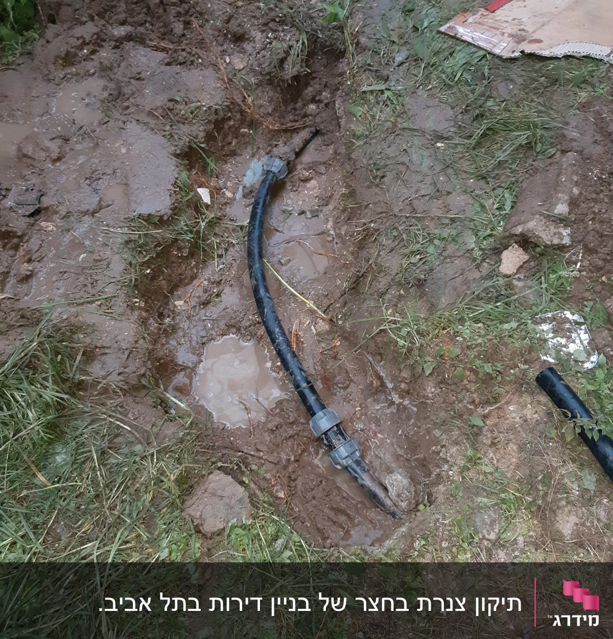 צינור מים שחור עם מחברים באדמה רטובה